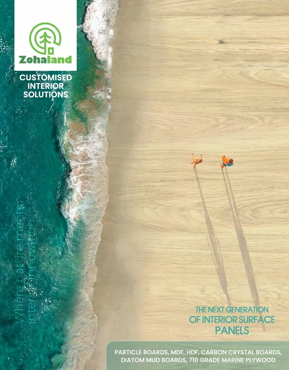 Zohaland poster: an aerial view of a beach meeting a turquoise sea